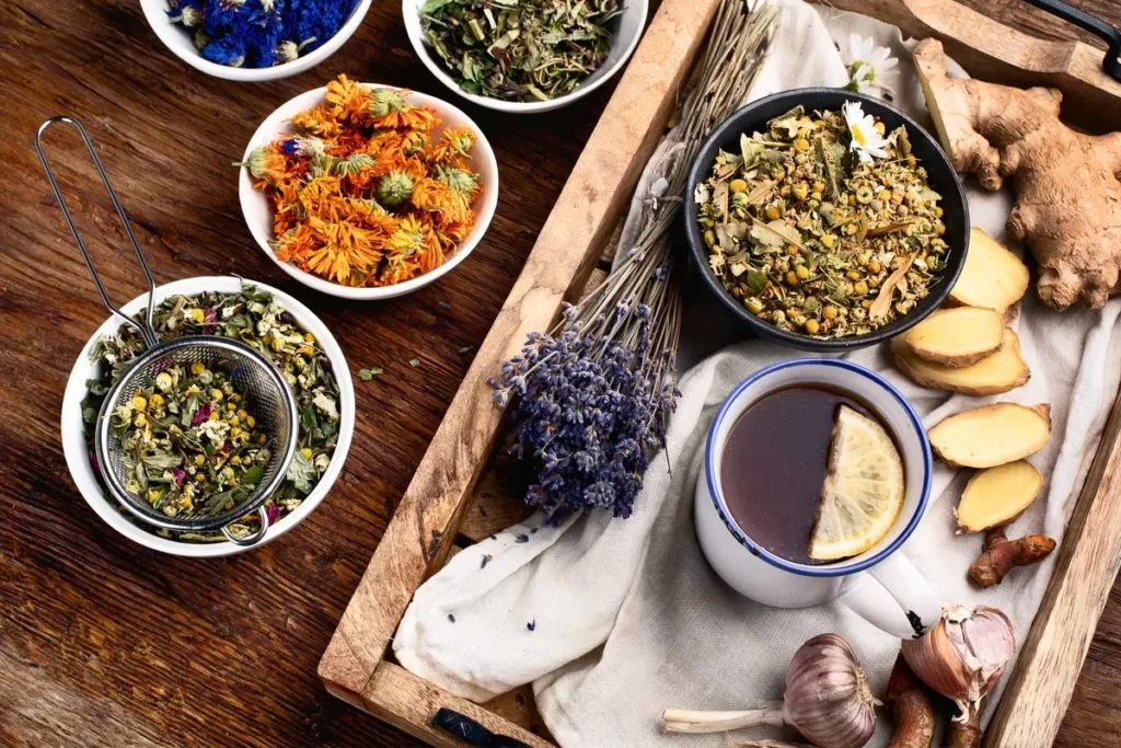 Various herbs traditionally used to support hair growth