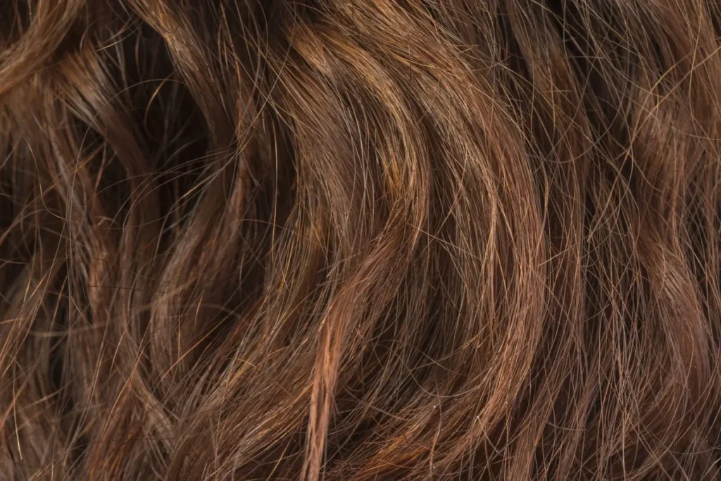 What Is a Hair Follicle and What Does It Do