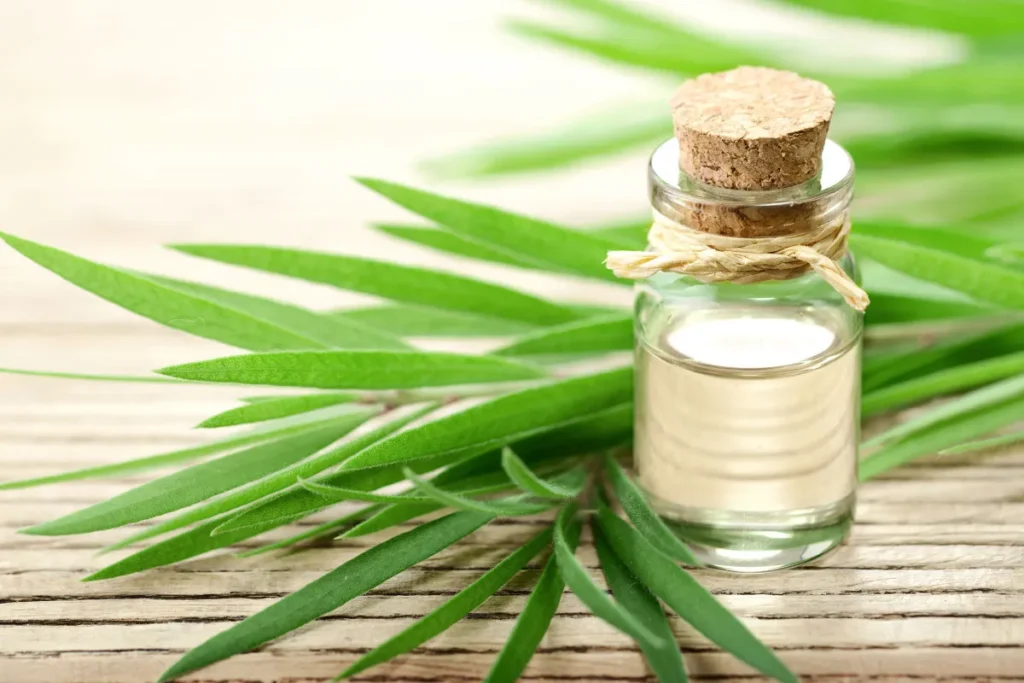 Tea Tree Oil For Hair: Powerful Healing