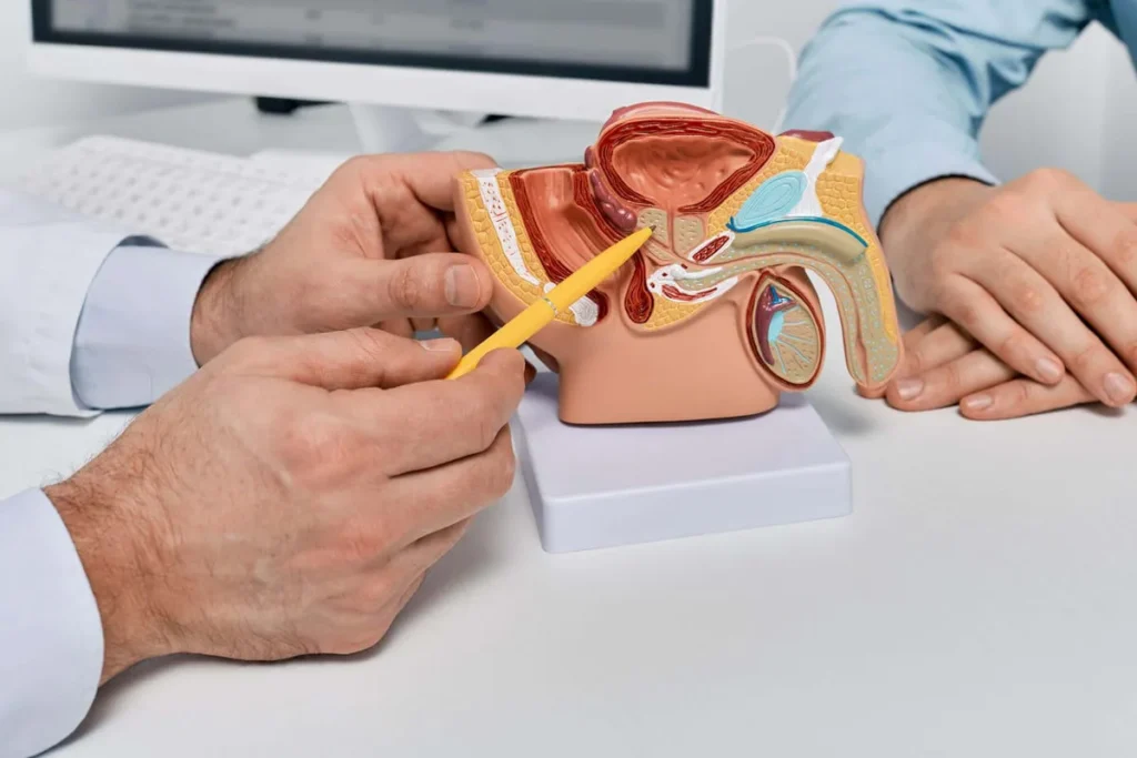 5 Possible Benefits for Prostate Health